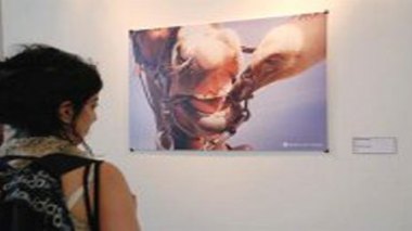 2e Salon de la photographie insolite : des scènes hilarantes de la vie quotidienne