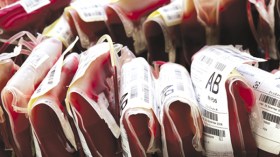 عيب وعار عليكم!