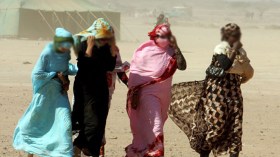 مؤسسة أمريكية تدعو لضرورة وضع حد لاحتلال المغرب للصحراء الغربية