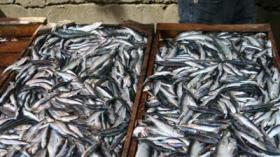 76 بالمائة من الموظفين لا يستهلكون سوى رطل سمك أو دجاجة شهريا