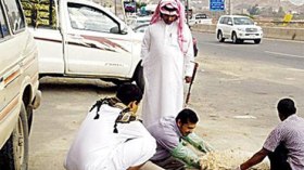 جراحة في الهواء الطلق لتوليد نعجة