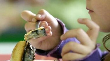 Ghardaia/ intoxication de 238 personnes à Guerrara: présence bactérienne dans la pâtisserie