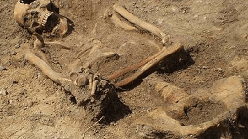 العثور على بقايا هيكل عظمي في غابة ببجاية