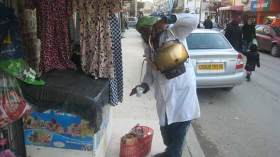 عشاق الشاي الصحراوي عرضة للإصابة بسرطان القولون