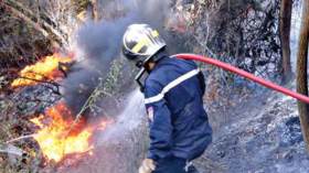 أعوان الغابات والحماية المدنية يتصدون لحريق بتيارت