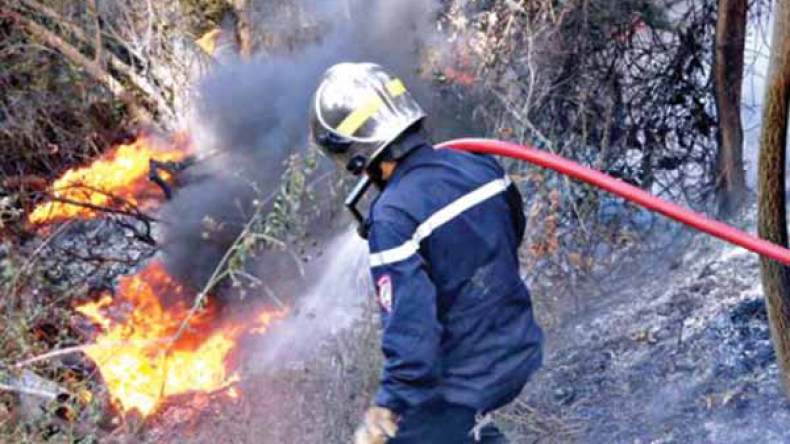 أعوان الغابات والحماية المدنية يتصدون لحريق بتيارت