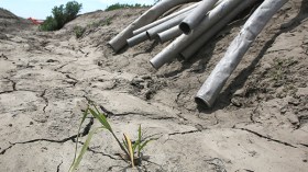 الجفاف وصل مرحلة الخطر.. ومليونا فلاح مهدد بالأسوإ