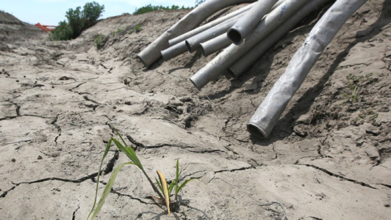 الجفاف وصل مرحلة الخطر.. ومليونا فلاح مهدد بالأسوإ