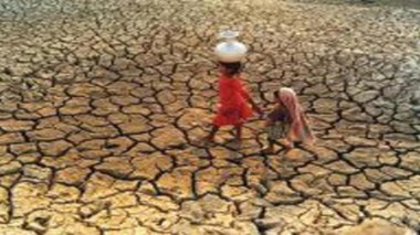 La FAO appelle à la création d’un fonds pour lutter contre la sécheresse au Sahel