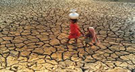 La FAO appelle à la création d’un fonds pour lutter contre la sécheresse au Sahel