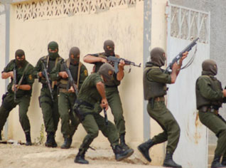 Algerian forces eliminate 3 terrorists east of Algeria