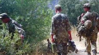 Terrorism: Security cervices dismantle a terrorist back up cell east of Algiers