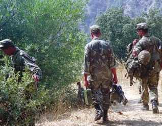 Terrorism: Security cervices dismantle a terrorist back up cell east of Algiers