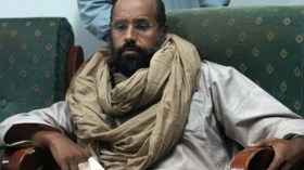 Saif al-Islam Gaddafi is free