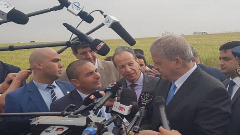 سلال: احتكار مادة السكر سينتهي