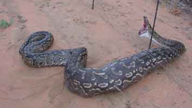 الكاذبون الأسطوريون يصنعون نكتة المجتمع ويتلاعبون بفصول الحقيقة