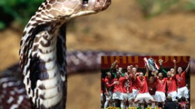 الأفاعي‭ ‬السامة‭ ‬تهدد‭ ‬حياة‭ ‬لاعبي‭ ‬المنتخب‭ ‬الانكليزي