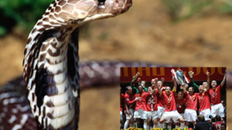 الأفاعي‭ ‬السامة‭ ‬تهدد‭ ‬حياة‭ ‬لاعبي‭ ‬المنتخب‭ ‬الانكليزي