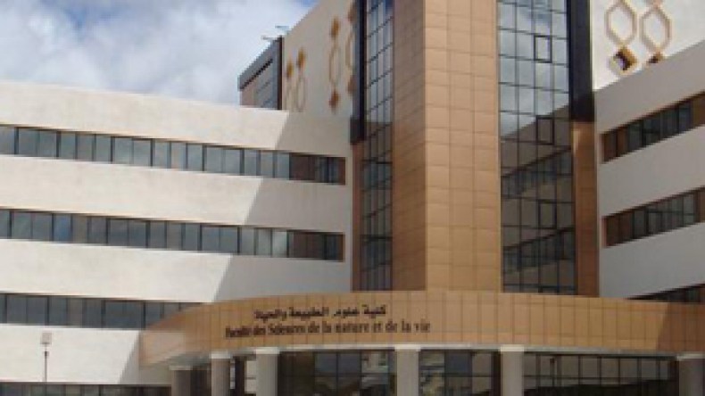 نجوى من سطيف أصغر دكتورة في الجزائر حاليا