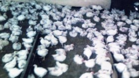 وكيل الجمهورية يفتح تحقيقا وبن بوزيد يتلقى تقريرا مفصلا