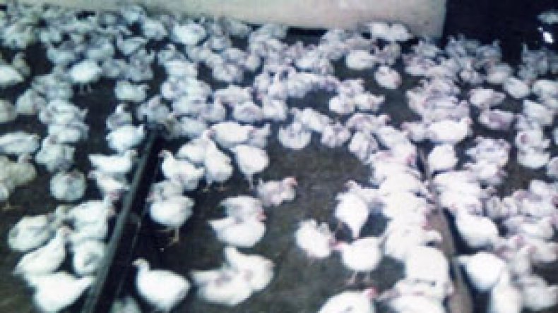 وكيل الجمهورية يفتح تحقيقا وبن بوزيد يتلقى تقريرا مفصلا