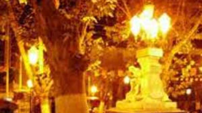 جرذان متعفنة تلوث المياه وتحدث كارثة وبائية بسطيف