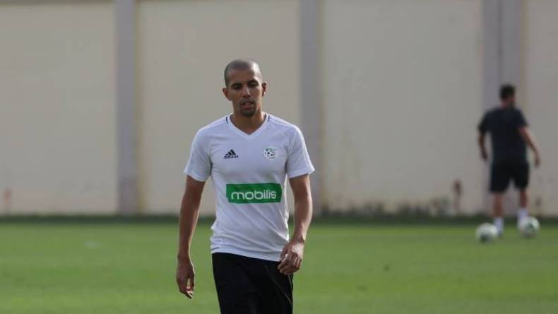 فيغولي على خطى بلماضي