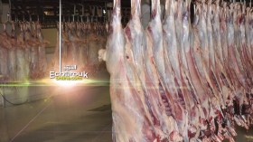 لحد الساعة.. لا قرارات بفتح المذابح والمسالخ يوم العيد!