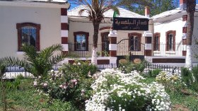 فوضى.. شجارات وإغماءات في طوابير منحة المليون سنتيم