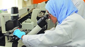 لماذا لا نحتكم إلى البحث العلمي في بلادنا؟