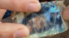 غوّاصون ينتشلون “أعمال سحر” من أعماق البحر بوهران