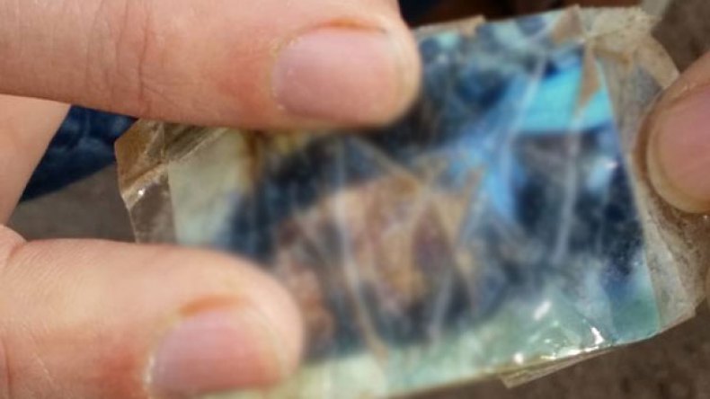 غوّاصون ينتشلون “أعمال سحر” من أعماق البحر بوهران