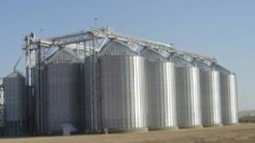 قمح بقيمة 11 مليون دولار يواجه التسوس