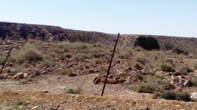 مقبرة تضم 800 من شهداء المقاومة عرضة للتجريف بالمسيلة