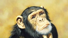 قرد هائج يطارد السكان..يرشقهم بالحجارة ويستولي على حاجياتهم