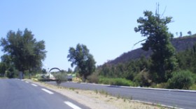 اغتيال 11 عنصرا من الجيش والشرطة في كمين إرهابي بسكيكدة