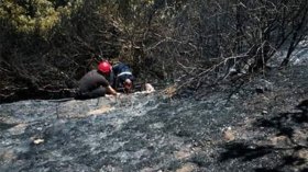 وفاة ثاني ضحية لحريق قرية أقنة بسكيكدة