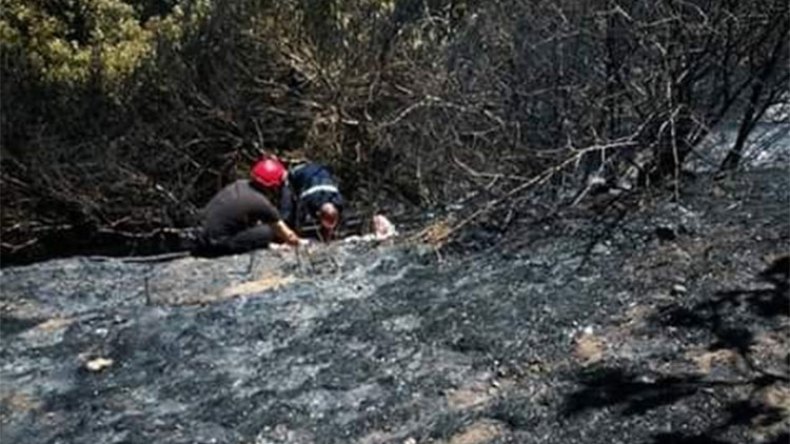 وفاة ثاني ضحية لحريق قرية أقنة بسكيكدة