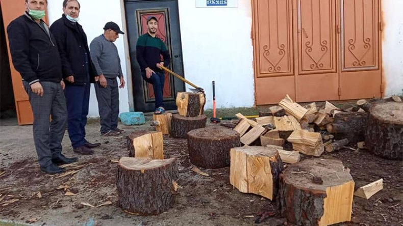 المتضررون من التقلبات الجوية يلجأون للاحتطاب لمواجهة الصقيع بسكيكدة