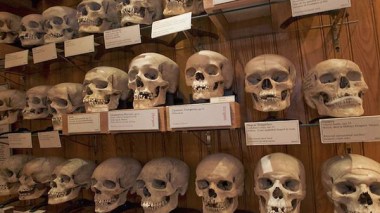 France Negotiates With Algeria: Skulls Of Martyrs In return For Allowing Harkis To Return Homeland