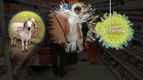 “الفاسيليتي” و”لكريدي” ملاذ الزوالية للظفر بالأضحية