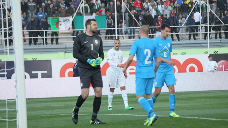 تواجدنا في مونديال البرازيل يعني بأننا منتخب كبير