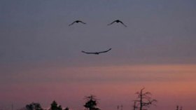 A friend by your side really can turn mountains into molehills