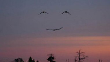 A friend by your side really can turn mountains into molehills