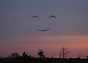 A friend by your side really can turn mountains into molehills