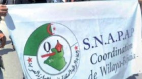 “السناباب”: الجزائر الجديدة تخيف البعض