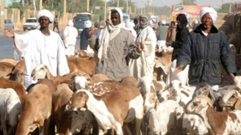 “لم نفصل بعد في المعايير البيطرية لاستيراد اللحوم السودانية”