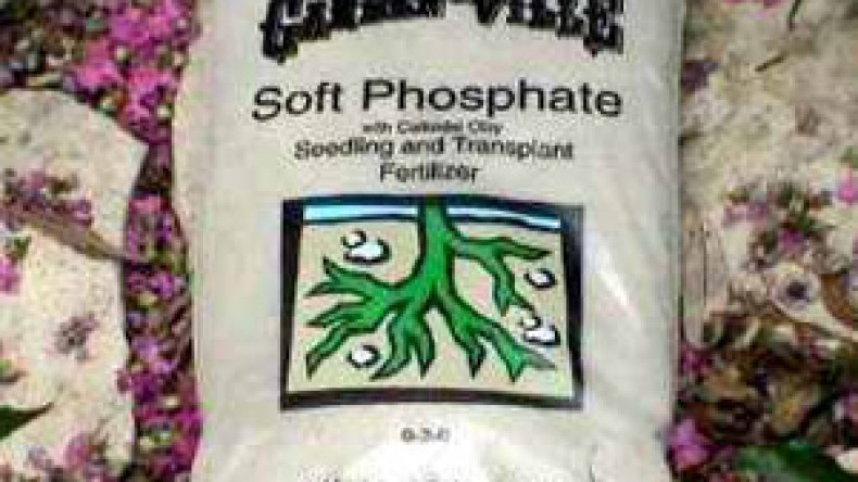 مؤامرة داخلية وخارجية للقضاء على المجمع فرفوس