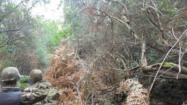 Cinq militaires tués à Tébessa