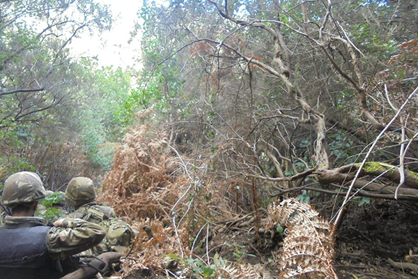 Cinq militaires tués à Tébessa